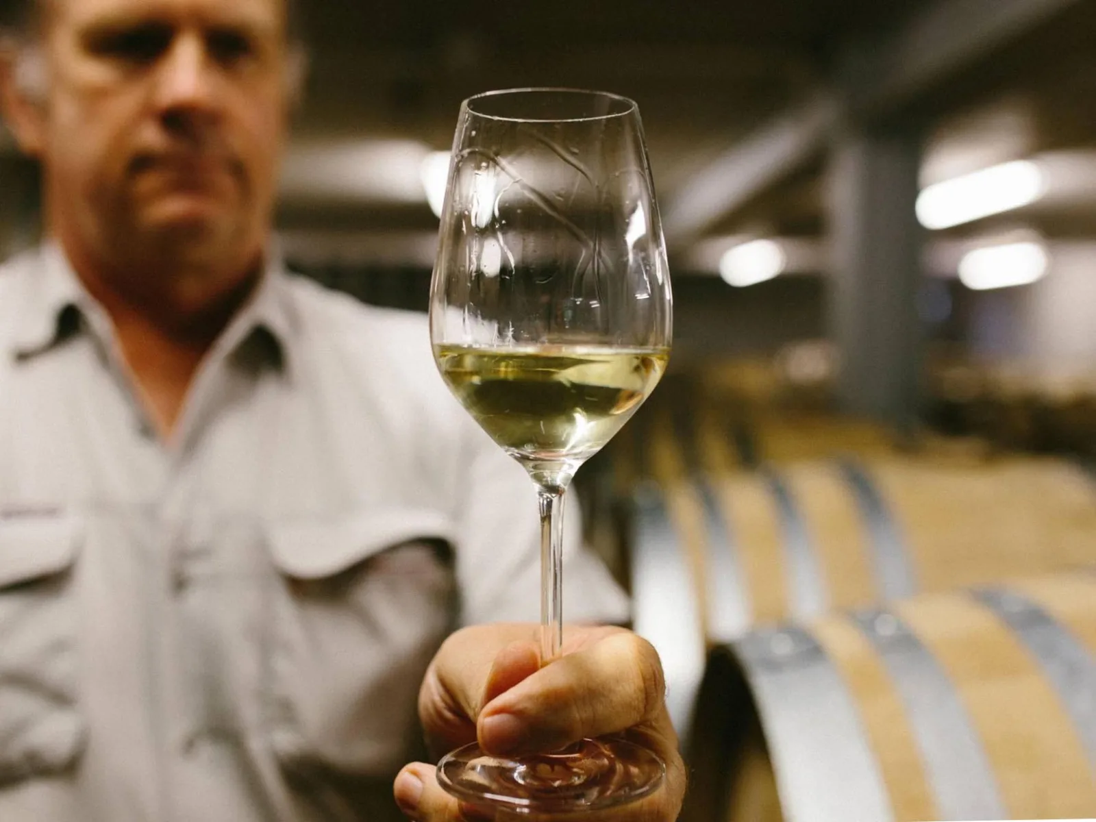 Chardonnay New Zealand: Hương vị và cách chọn vang