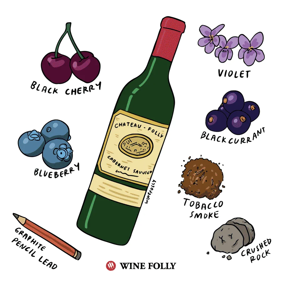 So sánh vang đỏ Bordeaux Cabernet Sauvignon và Merlot bên món thịt bò nướng
