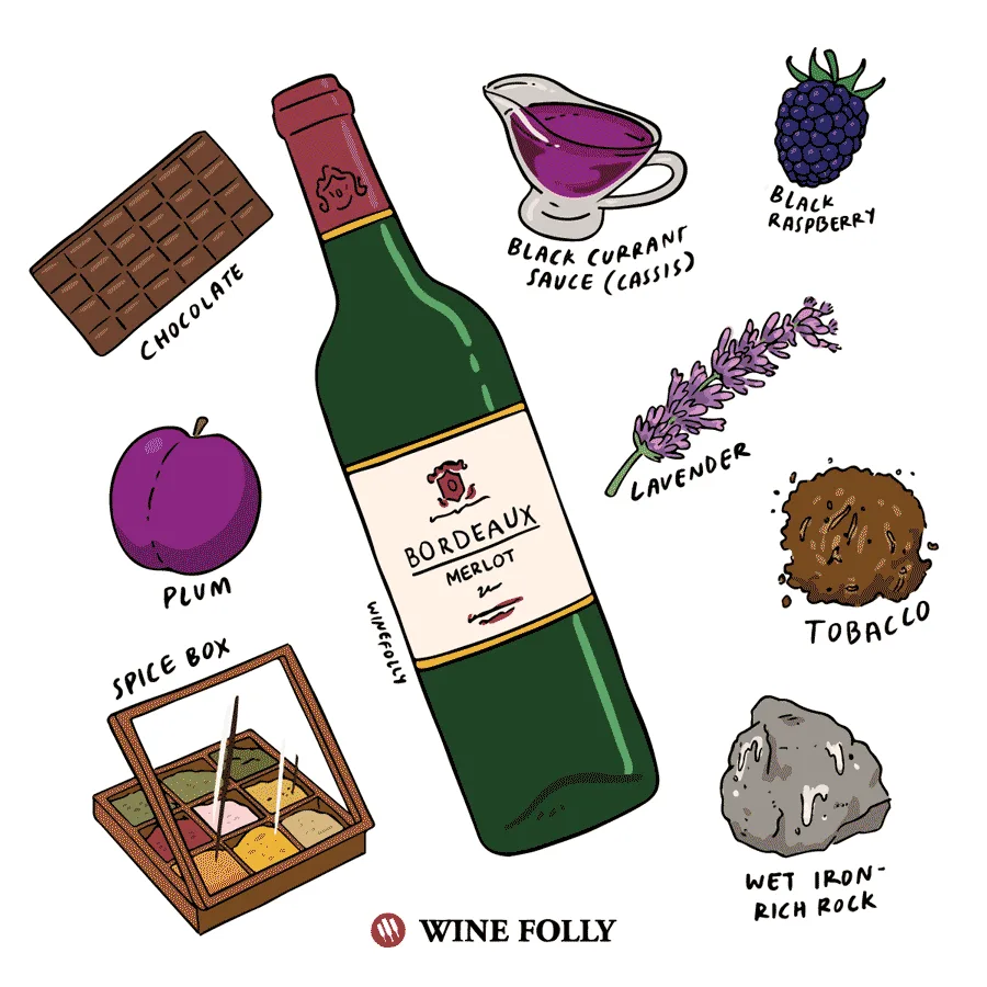 Vang ngọt Sauternes màu vàng óng kết hợp mật ong mơ chín và phô mai
