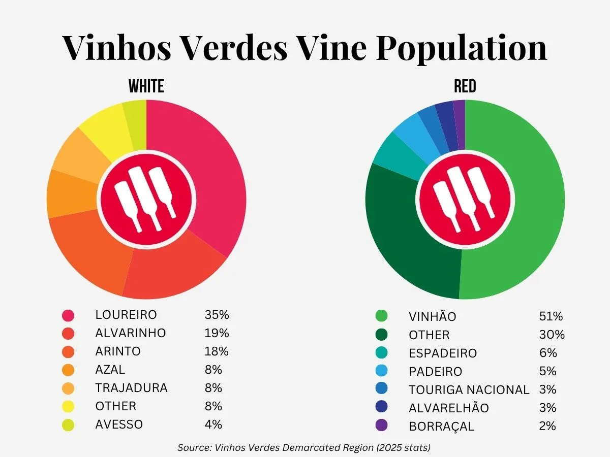 Vườn nho xanh tại vùng Minho miền Bắc Bồ Đào Nha sản xuất vang Vinho Verde