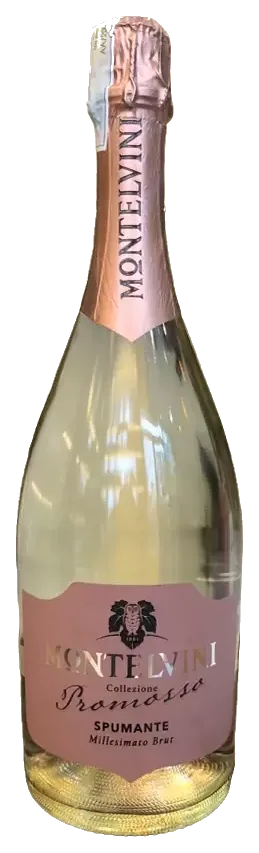 Rượu vang Ý Montelvini Collezione Promosso Spumante Millesimato Brut